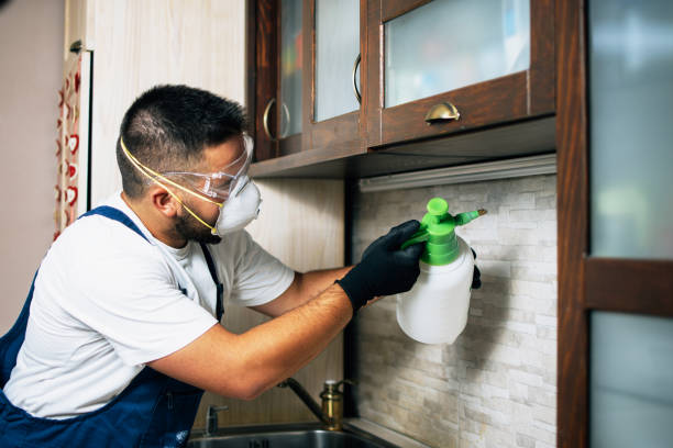 Best Flea Control Services  in Carencro, LA