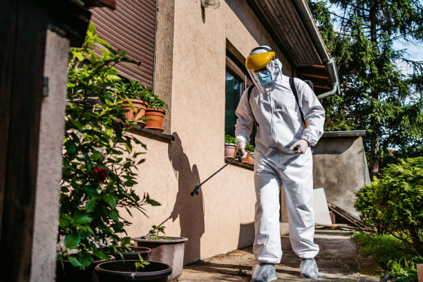 Best Mosquito Control Services  in Carencro, LA
