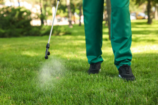 Best Rat Extermination Near Me  in Carencro, LA
