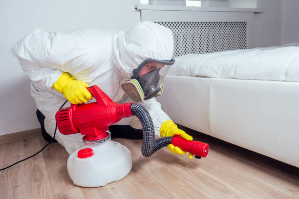 Best Ant Control Services  in Carencro, LA