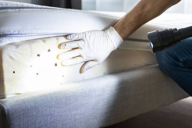  Carencro, LA Pest Control Pros