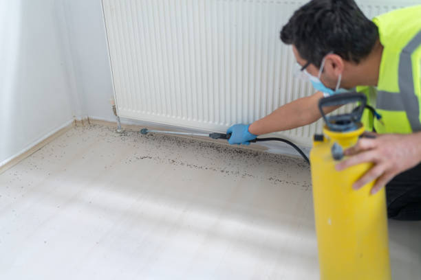 Best Affordable Pest Control Services  in Carencro, LA